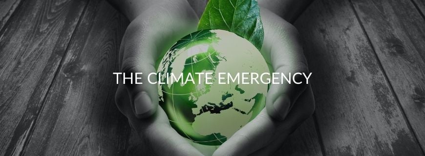 Climate Emergency | Sustainable Green World | BKM Marketing