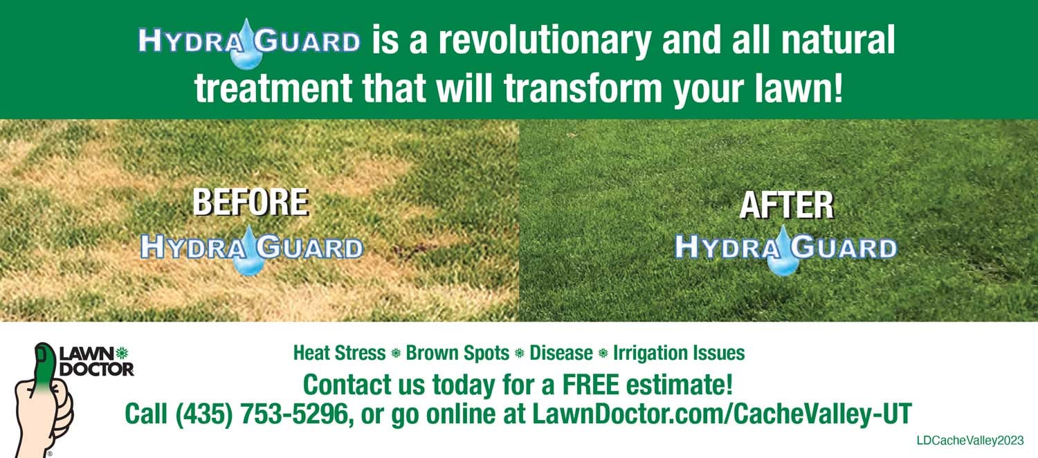 BKM-Marketing-Lawn-Care-Buckslip-4