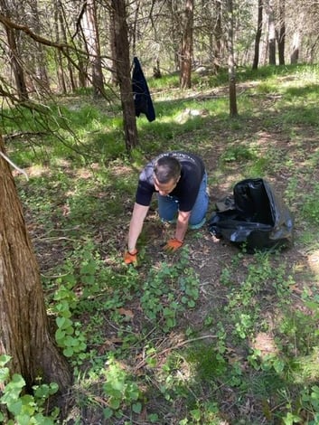 BKM Marketing | Sustainability | Pulling Garlic Mustard Weed